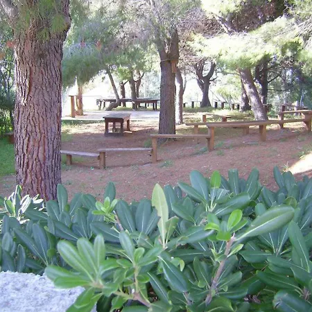 Bilocale 84 La Giungla Falerna