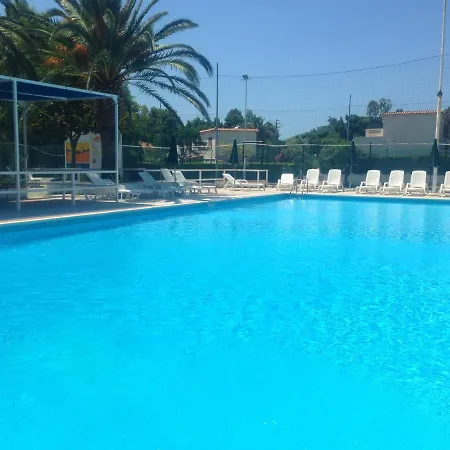 Bilocale 84 La Giungla *